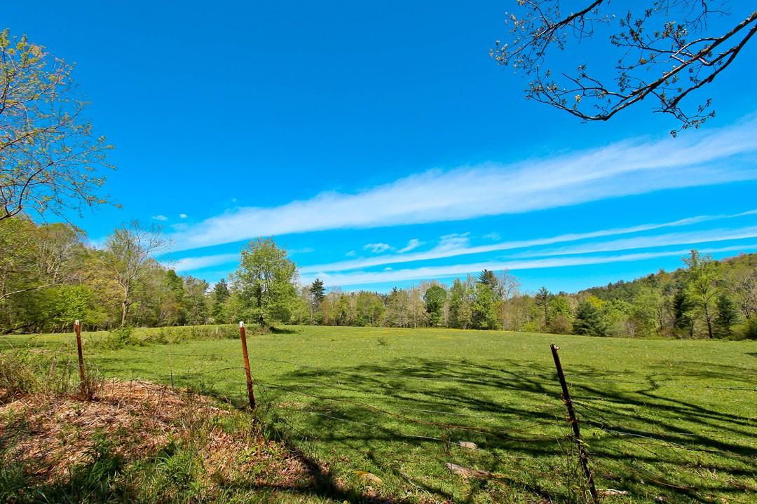 Cates Road Hartford, TN 37753 - Photo 3 of 28 IMG_0146