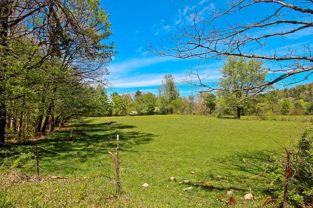 Cates Road Hartford, TN 37753 - Photo 21 of 28 IMG_0169