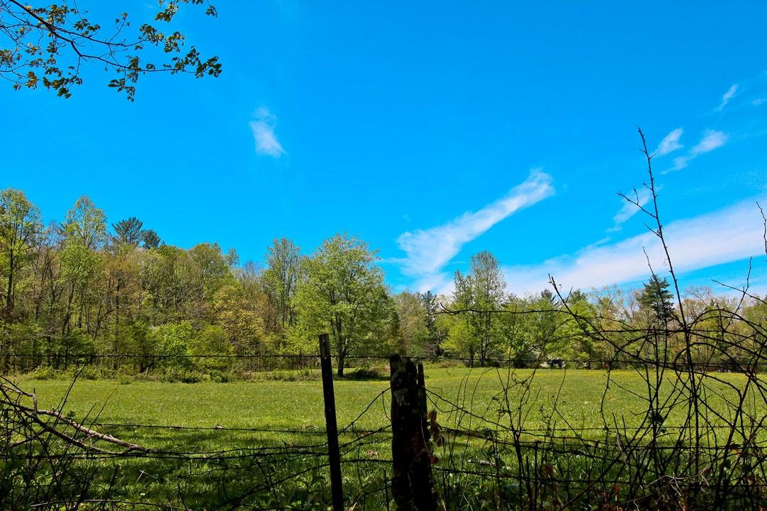 Cates Road Hartford, TN 37753 - Photo 24 of 28 IMG_0173