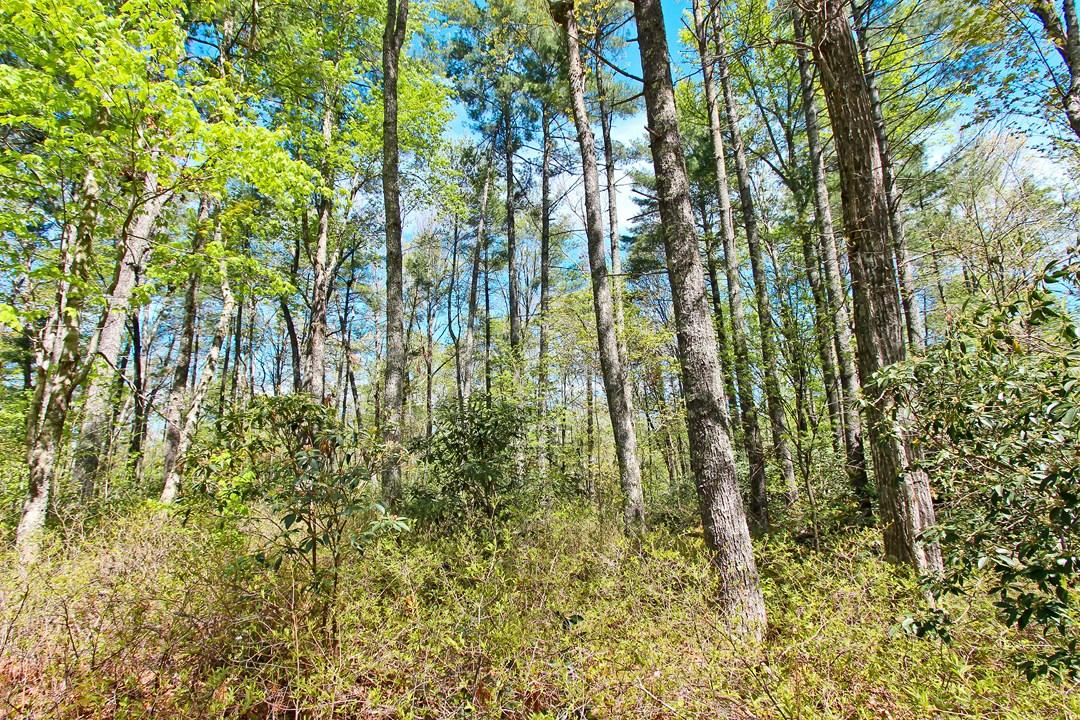 Cates Road Hartford, TN 37753 - Photo 25 of 28 IMG_0160