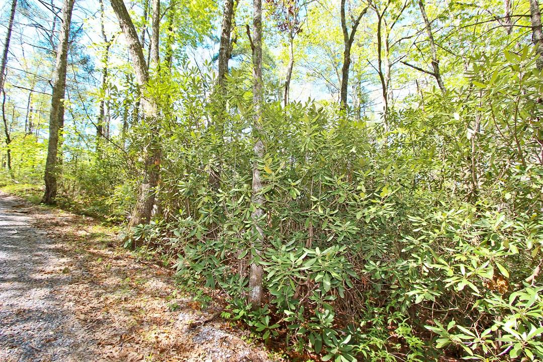 Cates Road Hartford, TN 37753 - Photo 27 of 28 IMG_0162