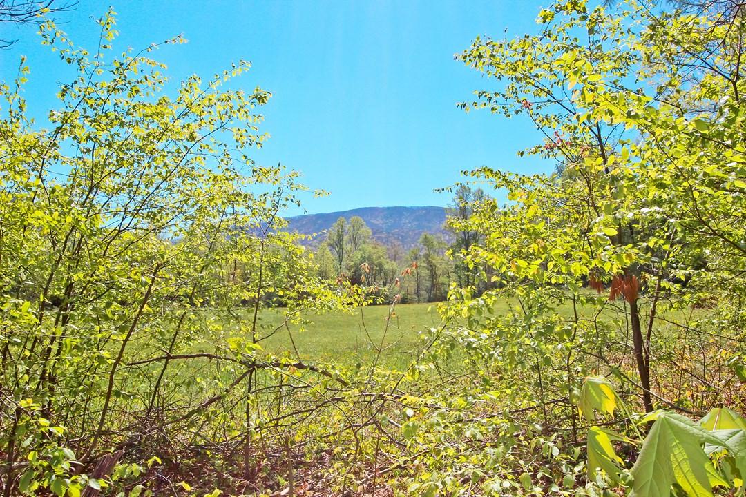 Cates Road Hartford, TN 37753 - Photo 28 of 28 IMG_0163