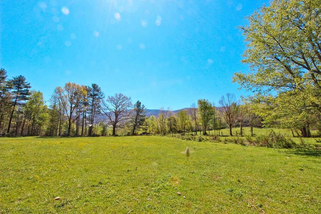 Cates Road Hartford, TN 37753 - Photo 5 of 28 IMG_0148