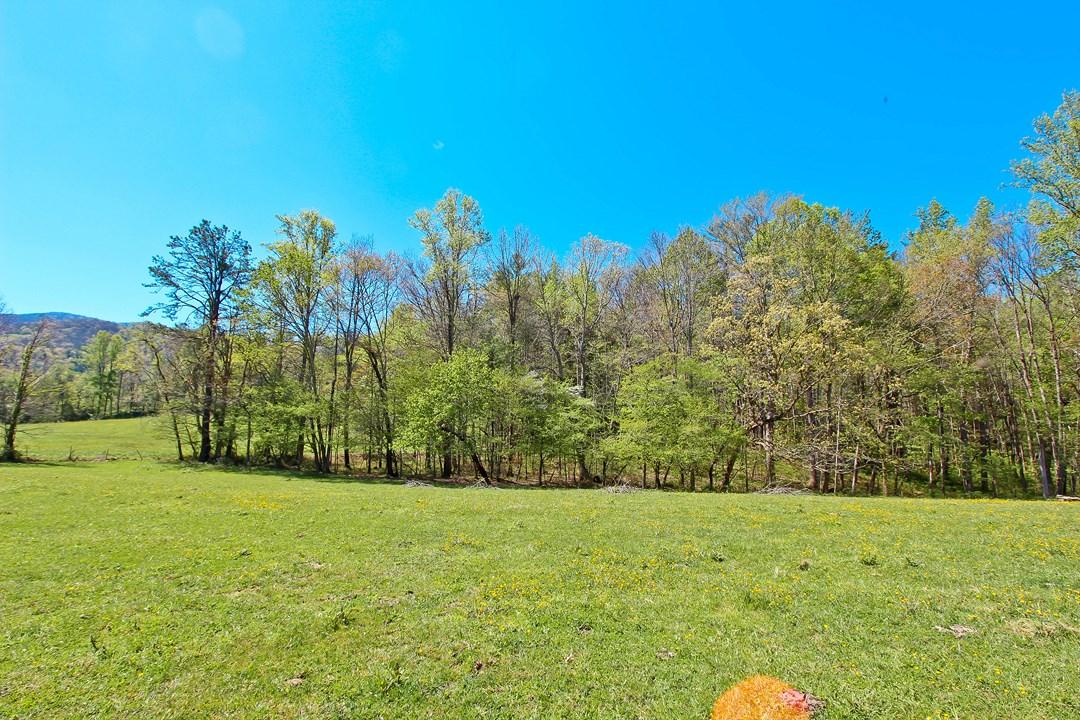 Cates Road Hartford, TN 37753 - Photo 10 of 28 IMG_0153