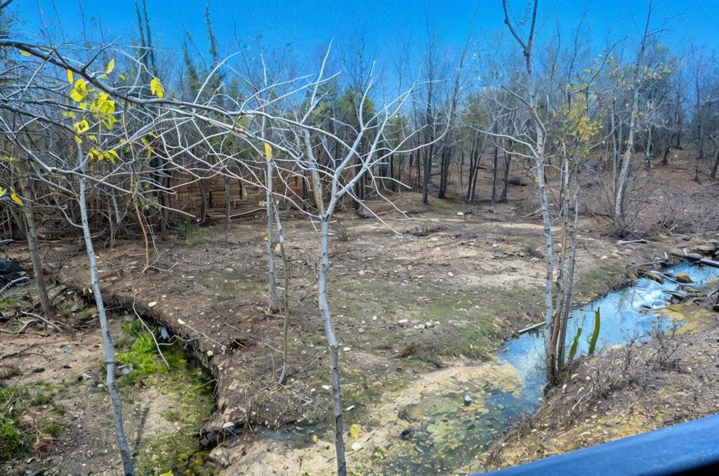 1113 Stone Bridge Pass Gunter, TX 75058 - Photo 32 of 32 a view of a backyard