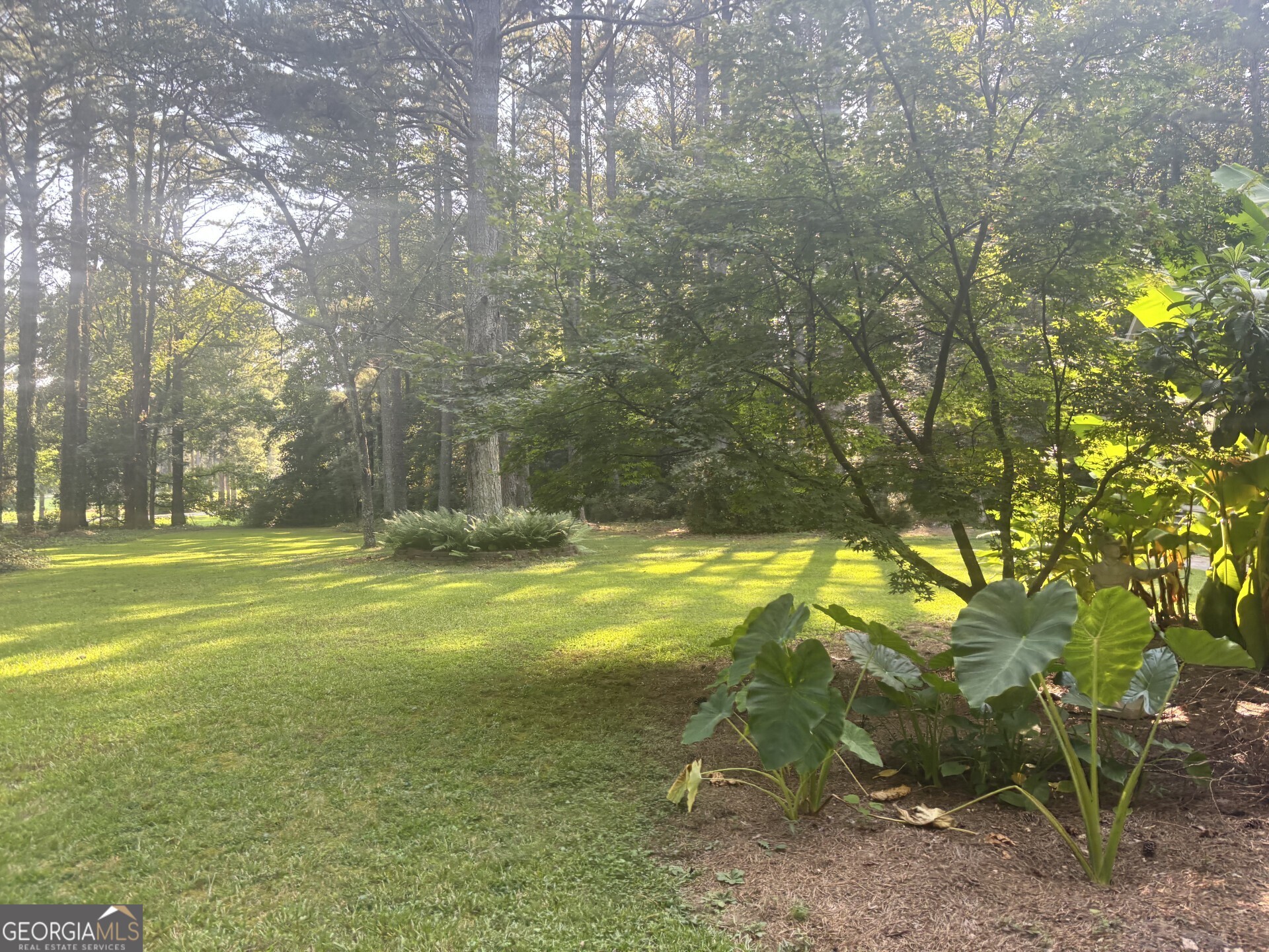 230 White Road Fayetteville, GA 30214 - Photo 2 of 38 a view of a yard with a tree