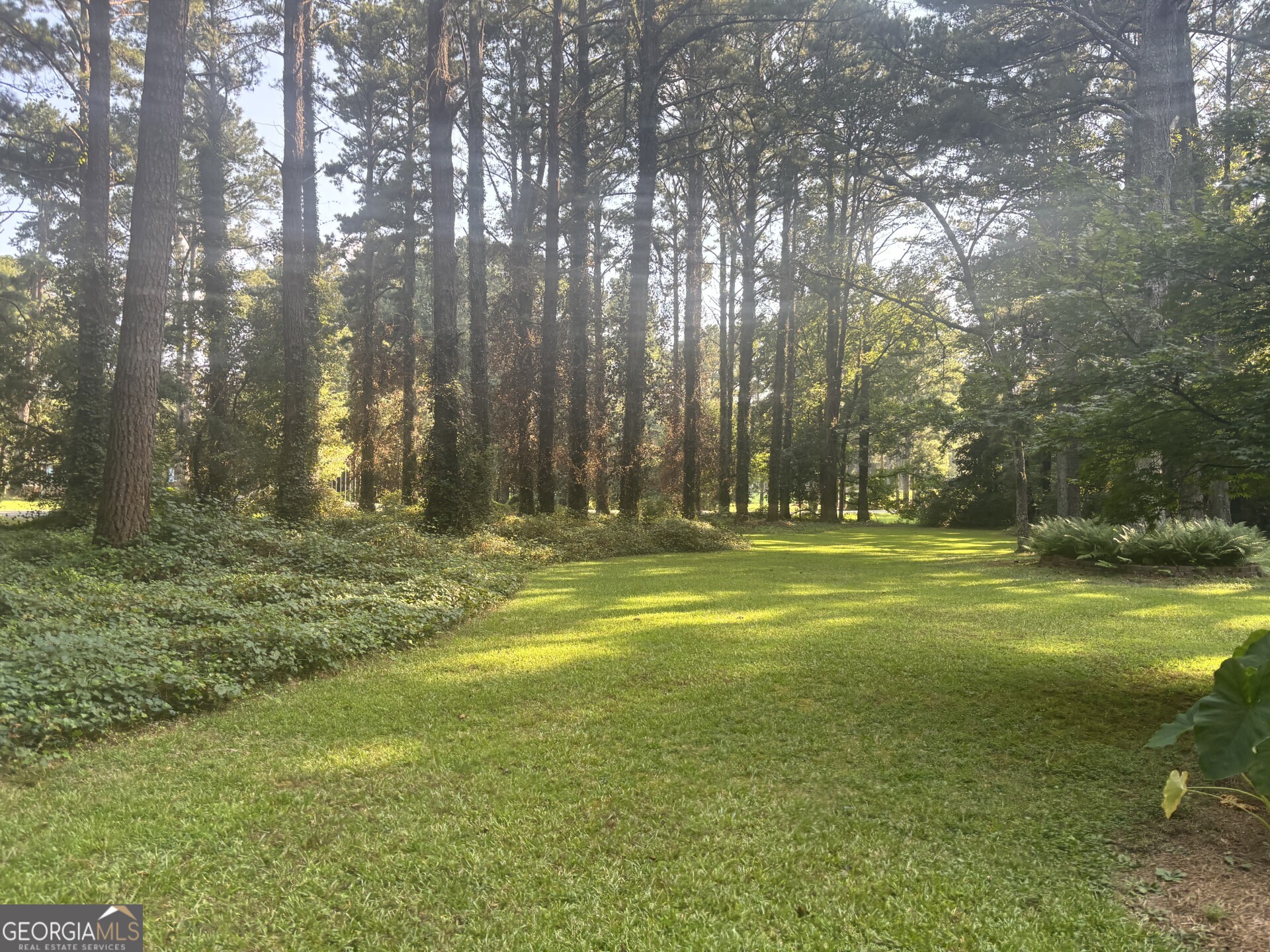 230 White Road Fayetteville, GA 30214 - Photo 3 of 38 a view of swimming pool with outdoor seating and trees