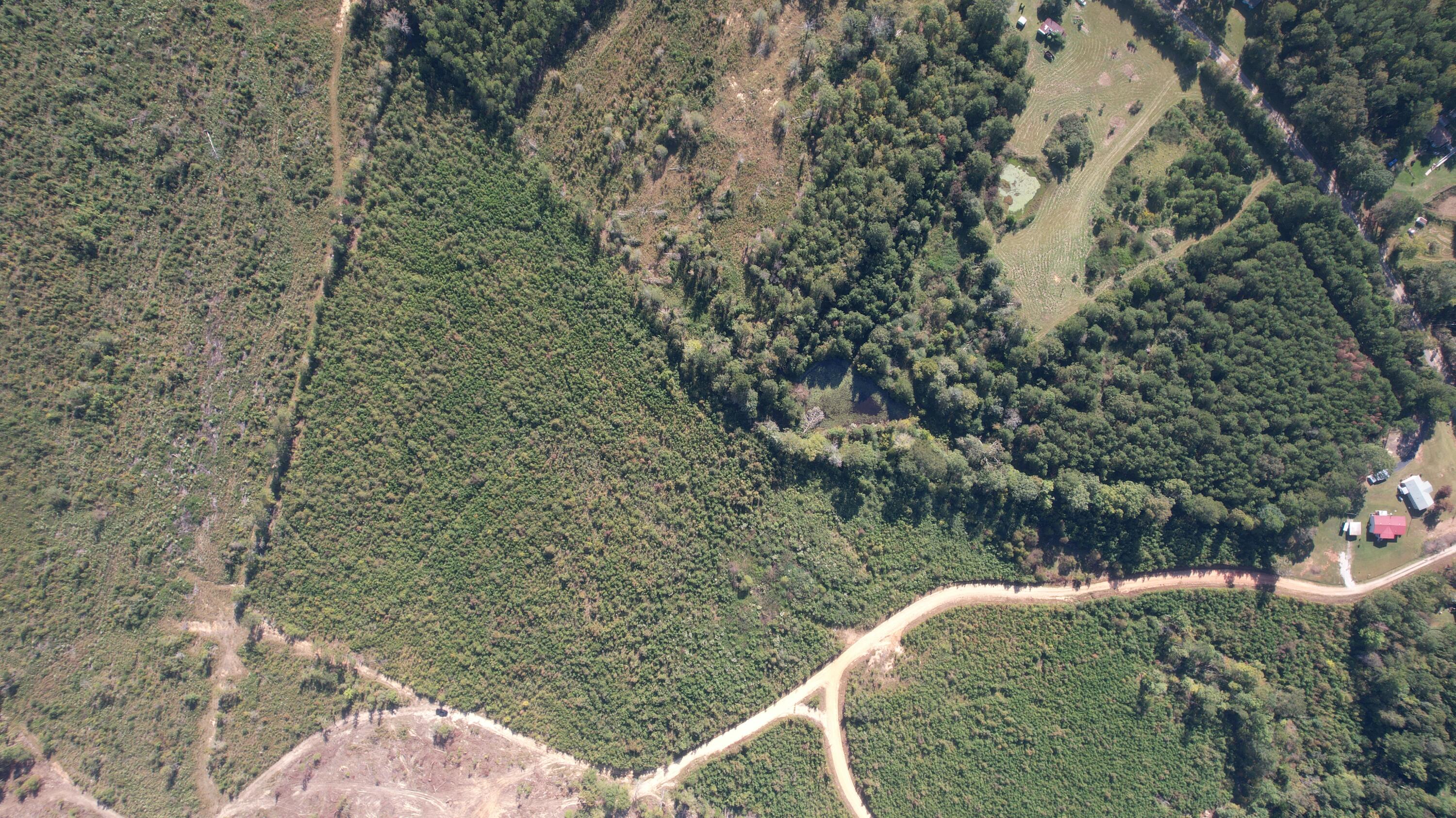 0 Moores Drive Edgefield, SC 29824 - Photo 11 of 12 dji_fly_20251009_152628_718_176005348103