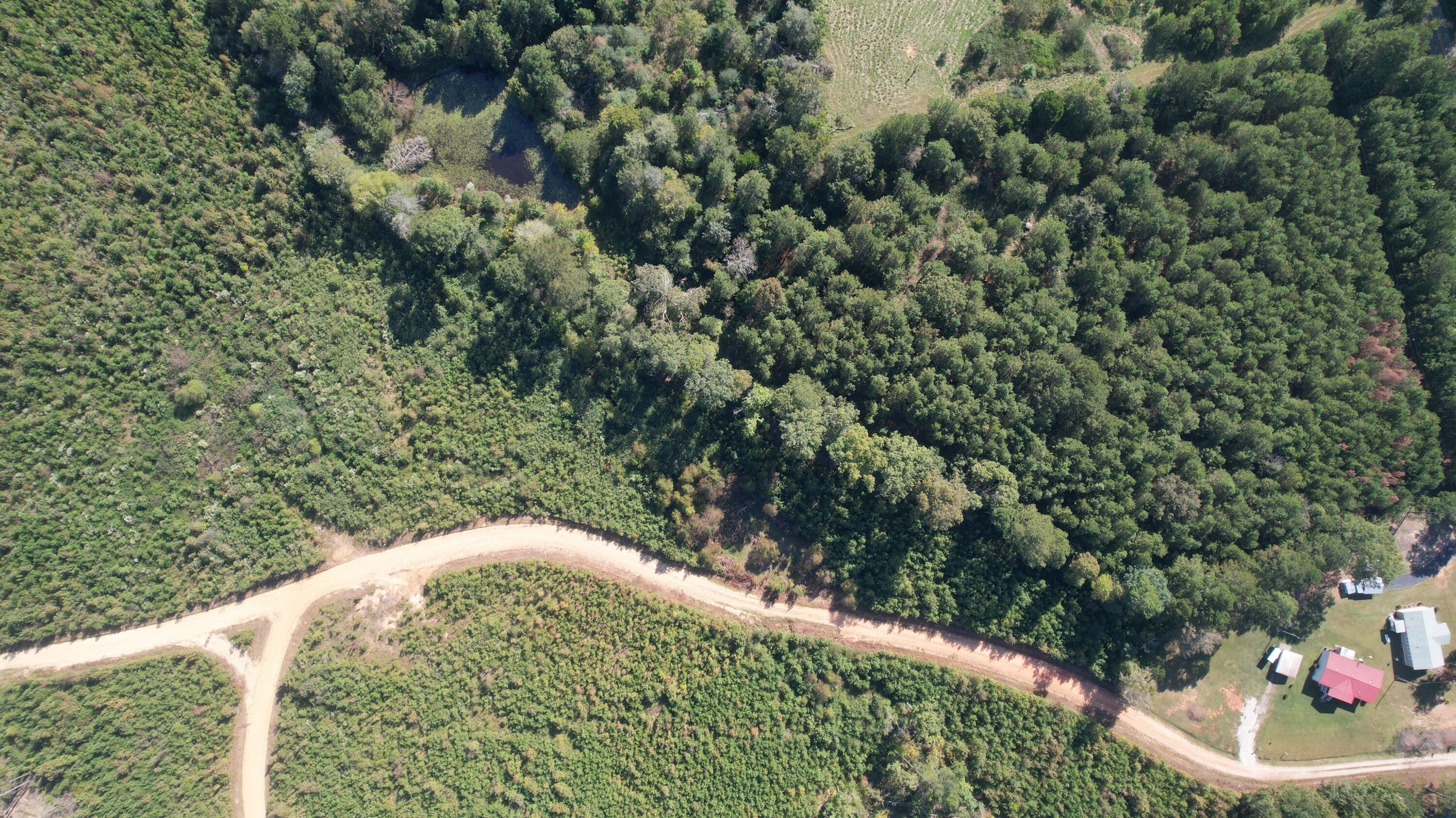 0 Moores Drive Edgefield, SC 29824 - Photo 12 of 12 dji_fly_20251009_152430_717_176005349225