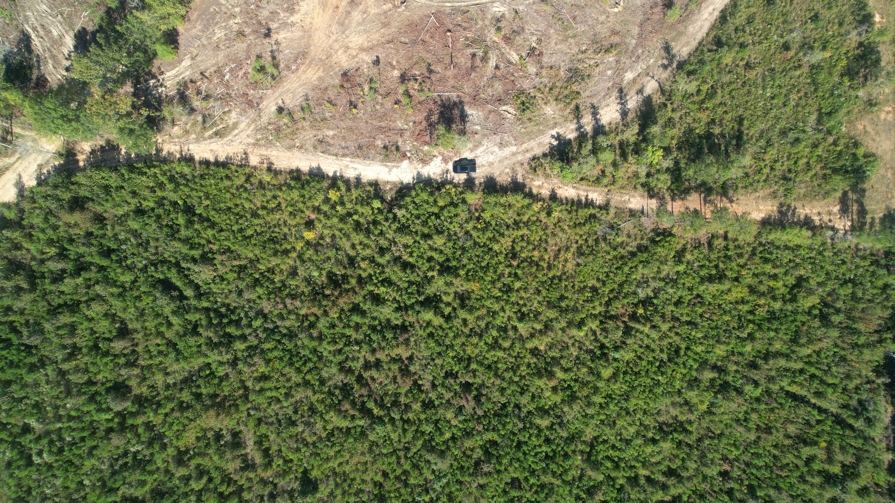 0 Moores Drive Edgefield, SC 29824 - Photo 4 of 12 dji_fly_20251009_153018_726_176003847597