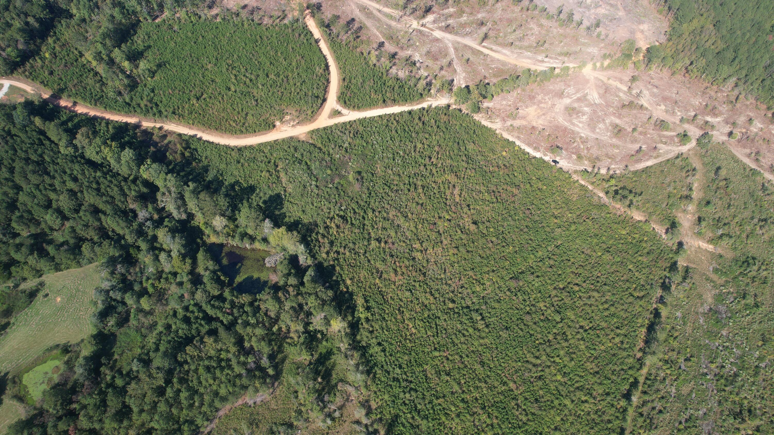 0 Moores Drive Edgefield, SC 29824 - Photo 5 of 12 dji_fly_20251009_152930_725_176003848553