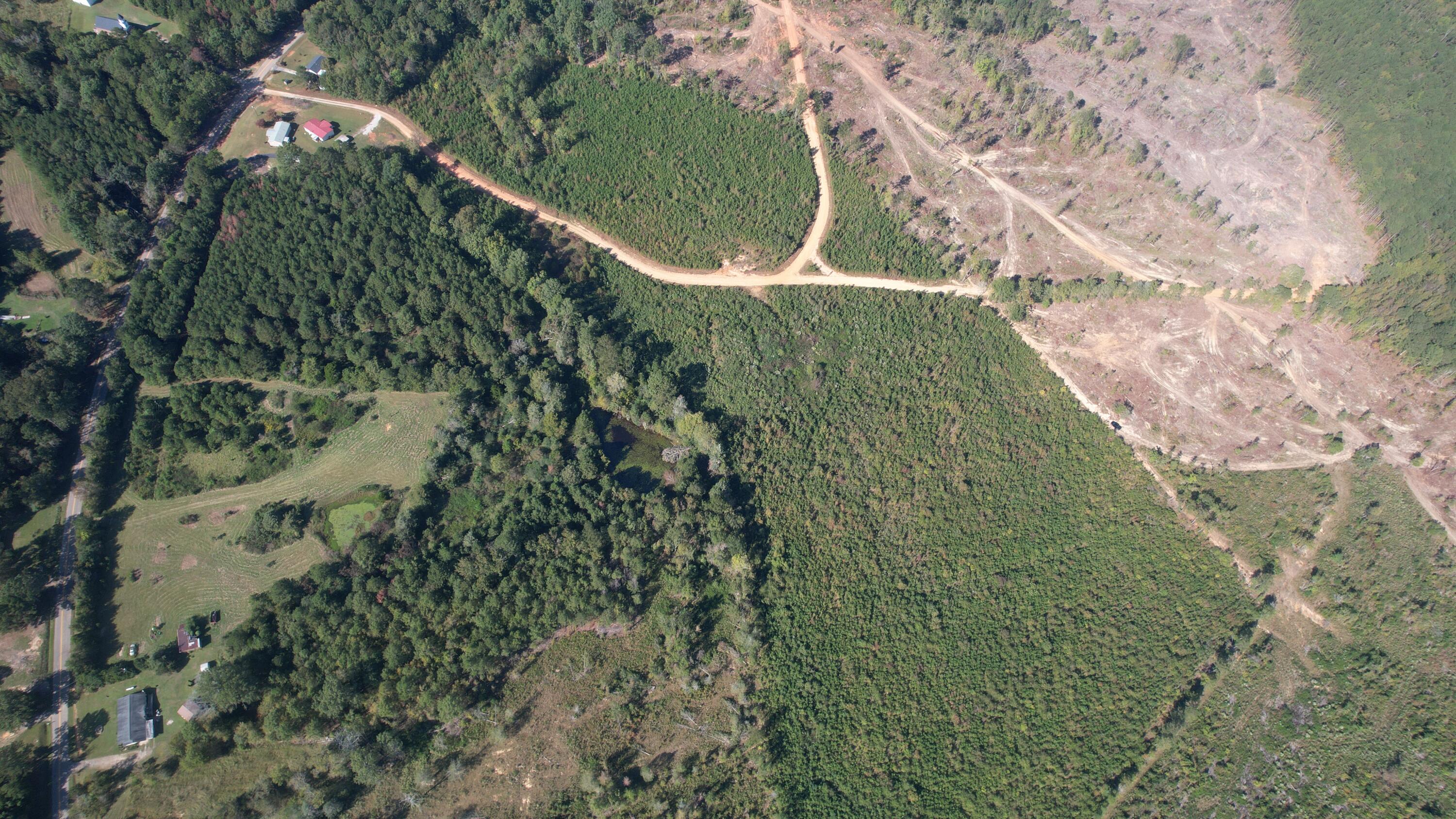 0 Moores Drive Edgefield, SC 29824 - Photo 6 of 12 dji_fly_20251009_152850_724_176003849251
