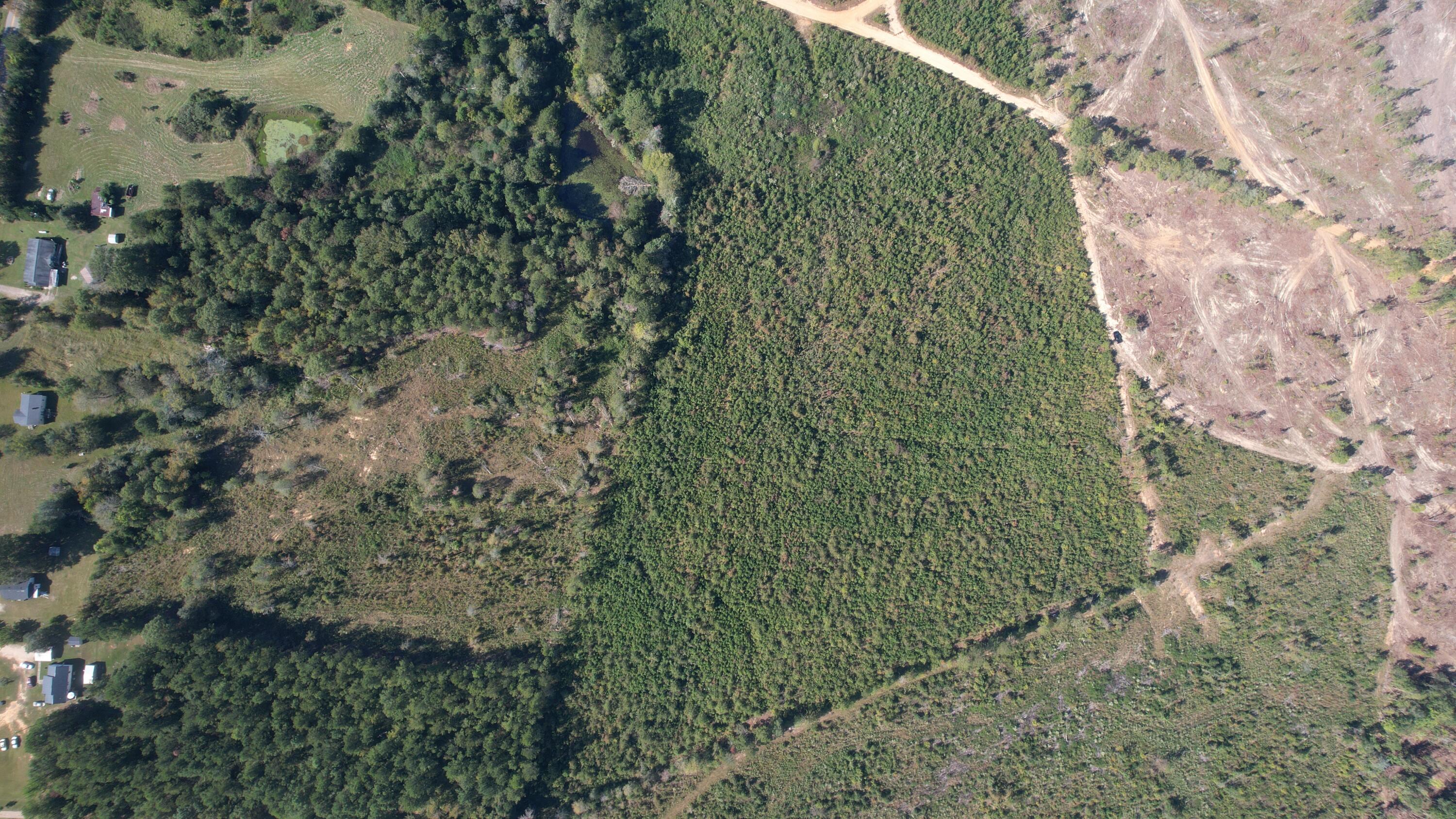 0 Moores Drive Edgefield, SC 29824 - Photo 7 of 12 dji_fly_20251009_152802_723_176005342269