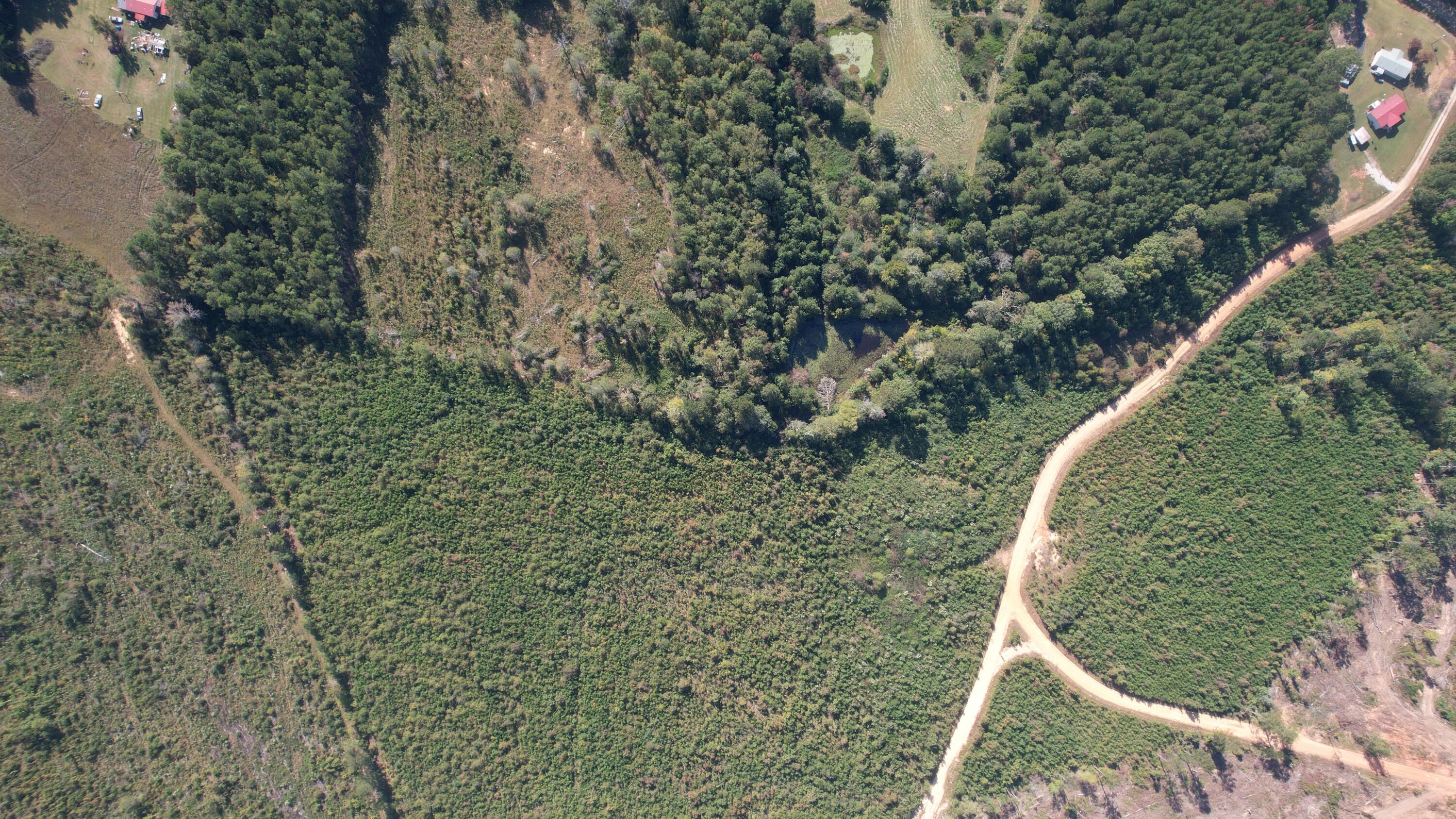 0 Moores Drive Edgefield, SC 29824 - Photo 8 of 12 dji_fly_20251009_152746_722_176005343791