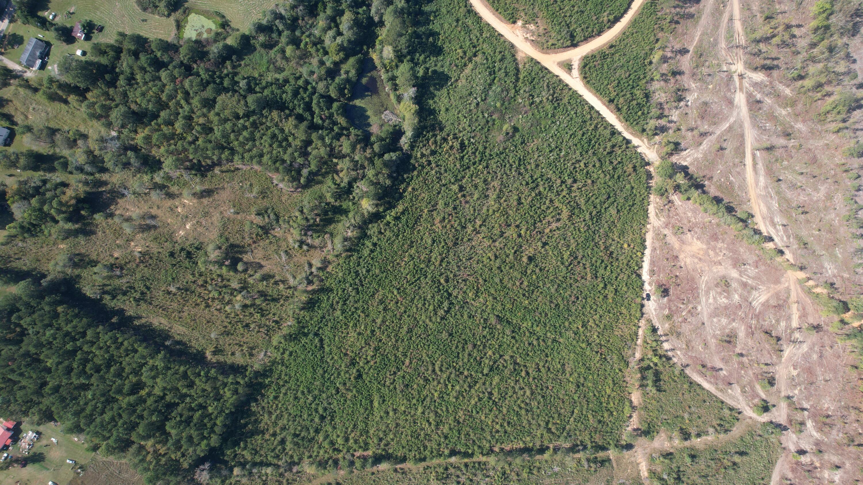 0 Moores Drive Edgefield, SC 29824 - Photo 9 of 12 dji_fly_20251009_152722_721_176005344846