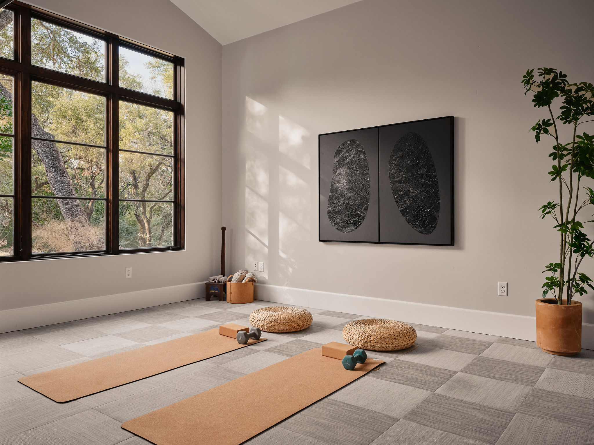 3667 Stoneridge Road Austin, TX 78746 - Photo 22 of 39 a living room with a couch and potted plant