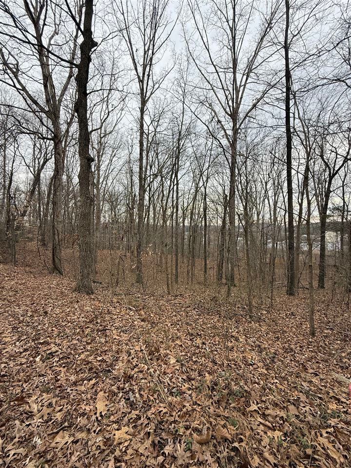 0 Pitcher Road South Morgantown, KY 42261 - Photo 11 of 18 Gallery Image 11