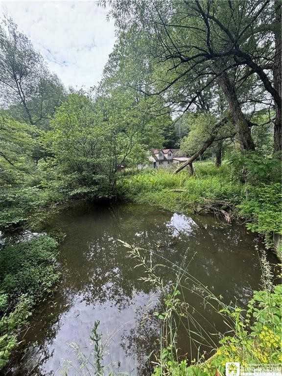 2045 Baxter Mills Road Ischua, NY 14743 - Photo 1 of 44 Gallery Image 1