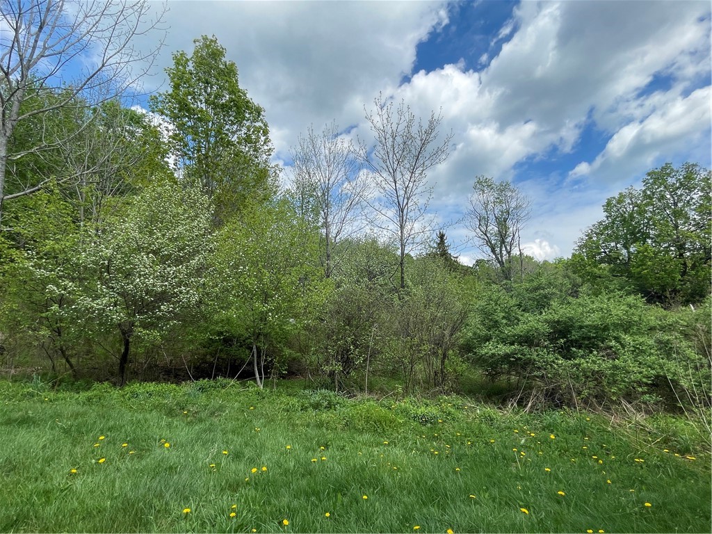 174 Peraglie Road Jefferson, NY 12093 - Photo 3 of 15