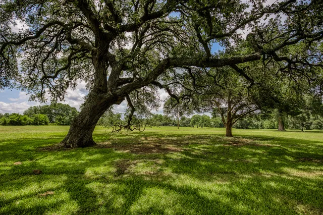 $499,000 | 4 Artesian Park Lane, Brenham, TX 77833