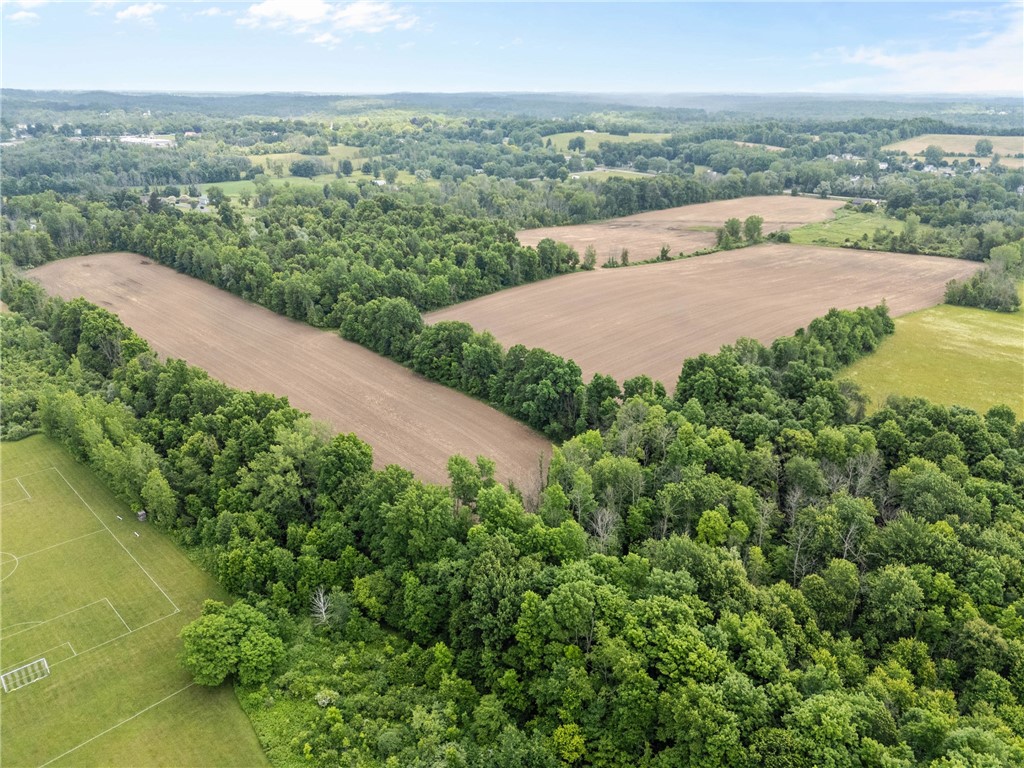 Vacant Lot Walworth Road Walworth, NY 14568 - Photo 16 of 24
