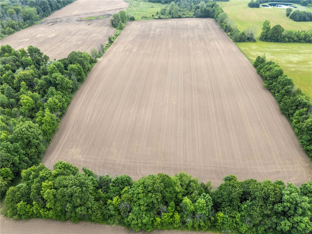 Vacant Lot Walworth Road Walworth, NY 14568 - Photo 17 of 24
