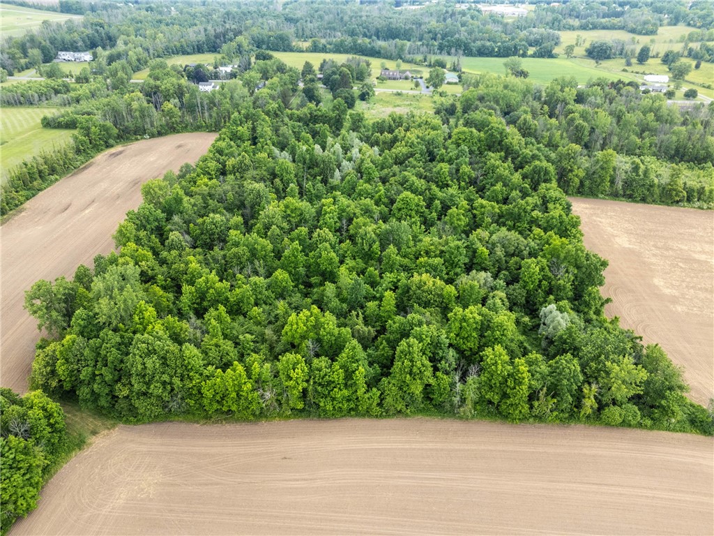 Vacant Lot Walworth Road Walworth, NY 14568 - Photo 18 of 24