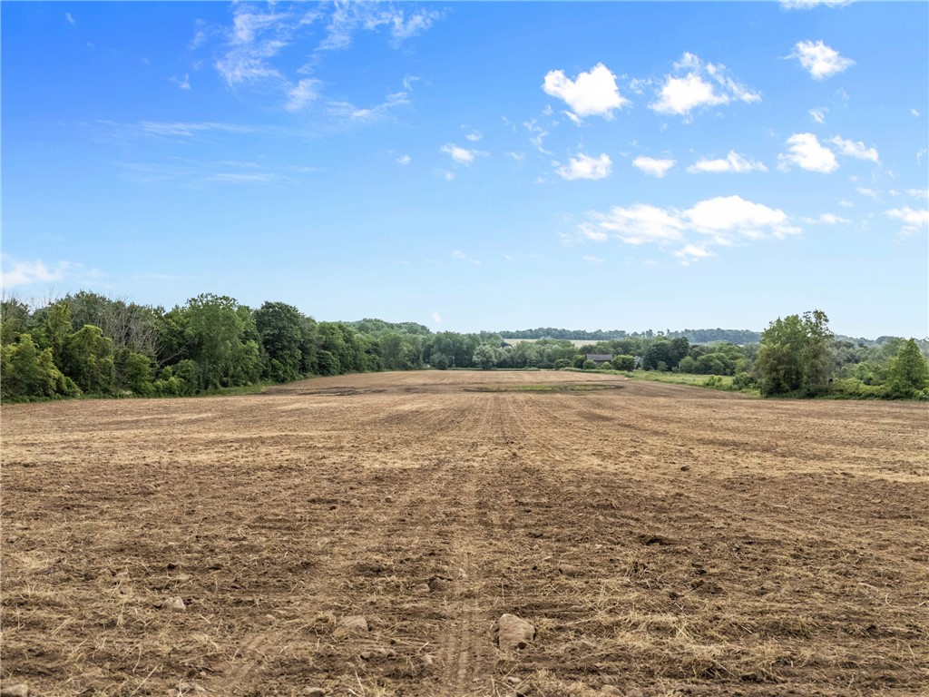 Vacant Lot Walworth Road Walworth, NY 14568 - Photo 20 of 24