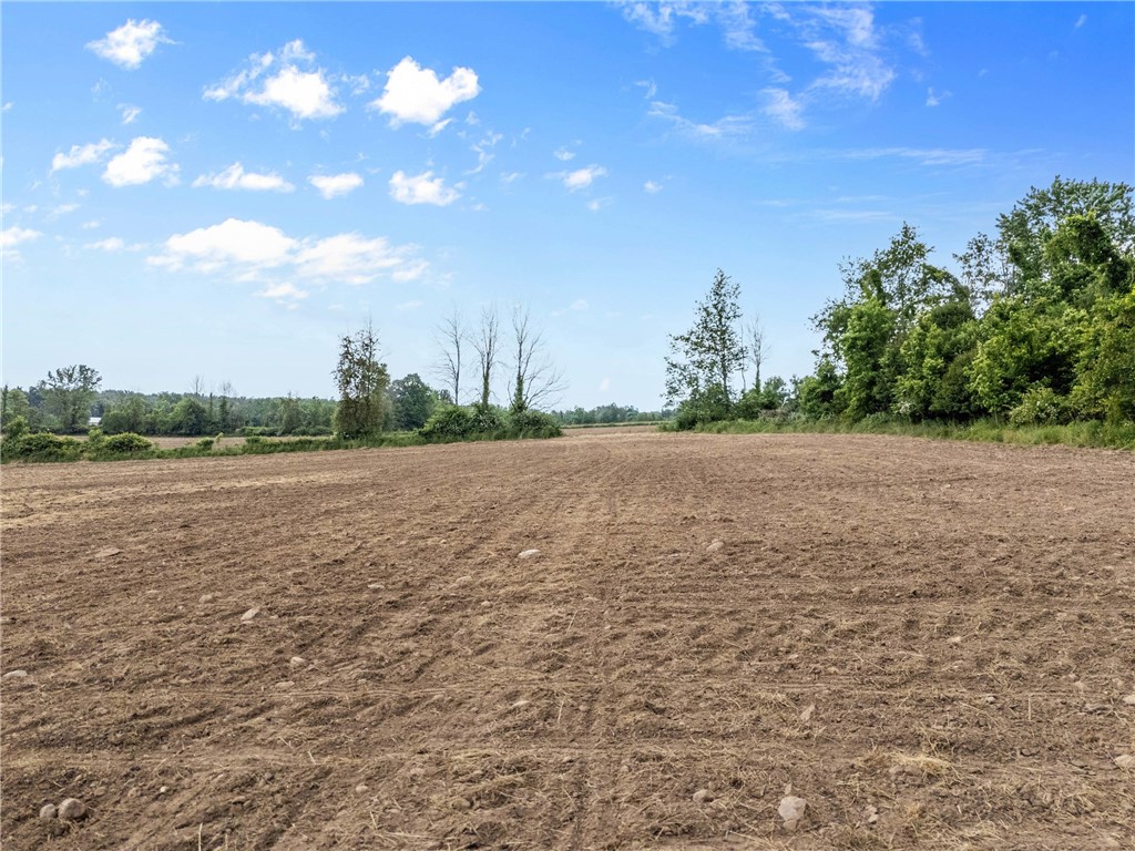 Vacant Lot Walworth Road Walworth, NY 14568 - Photo 21 of 24