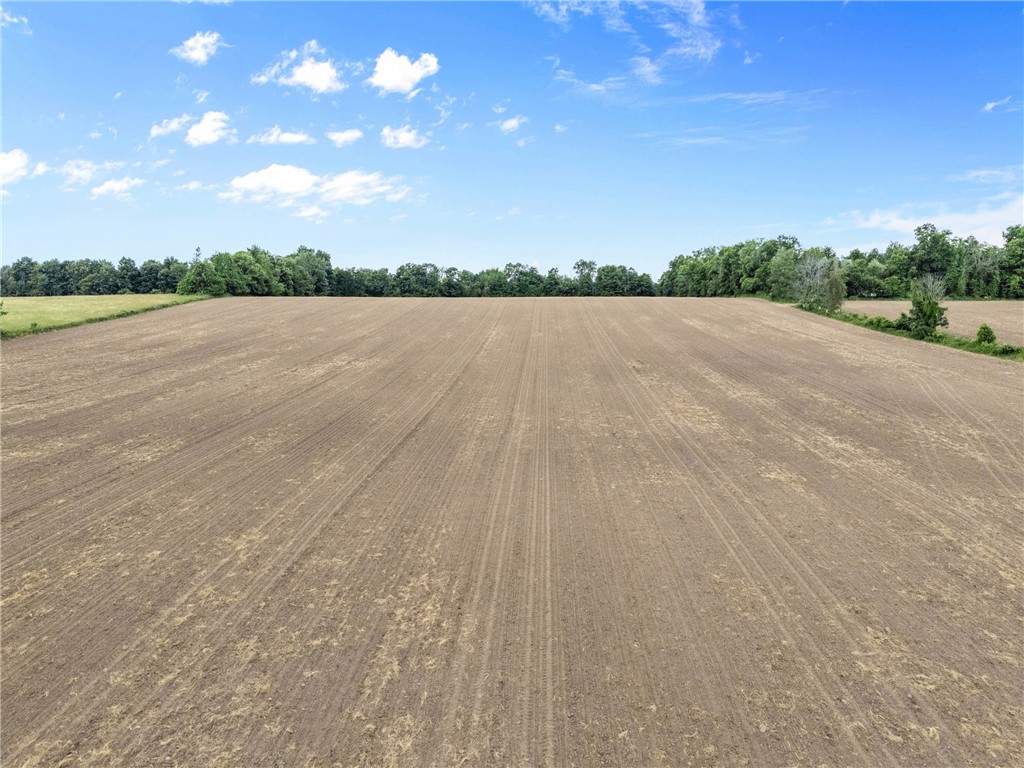 Vacant Lot Walworth Road Walworth, NY 14568 - Photo 24 of 24