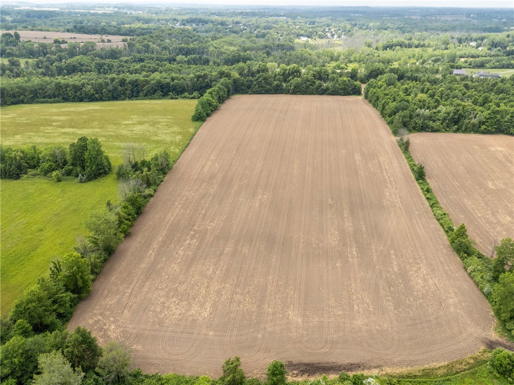 Vacant Lot Walworth Road Walworth, NY 14568 - Photo 5 of 24
