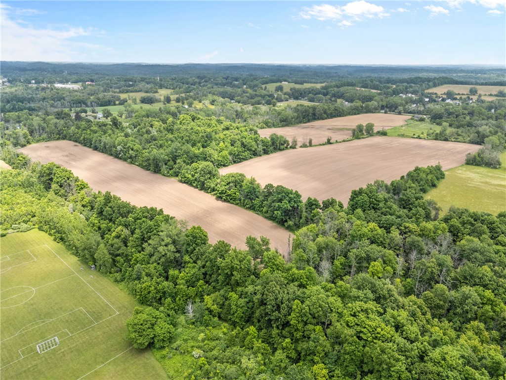 Vacant Lot Walworth Road Walworth, NY 14568 - Photo 6 of 24