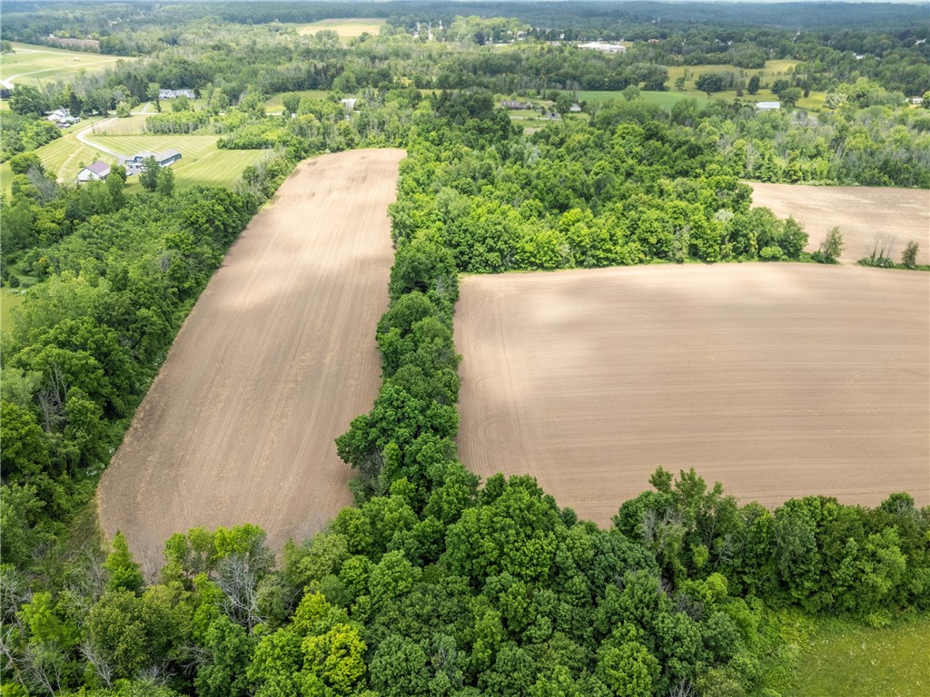 Vacant Lot Walworth Road Walworth, NY 14568 - Photo 7 of 24