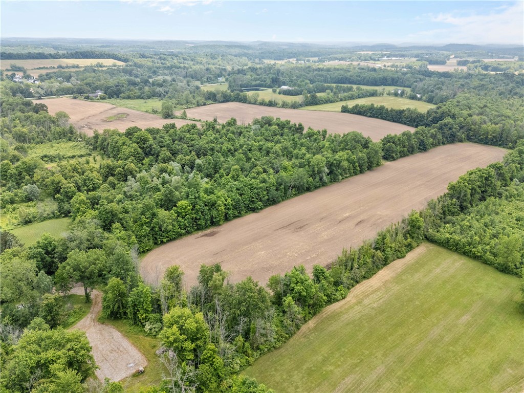 Vacant Lot Walworth Road Walworth, NY 14568 - Photo 9 of 24