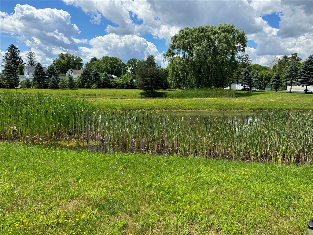 1021 Waterloo Geneva Road, Unit 84 Waterloo, NY 13165 - Photo 3 of 19