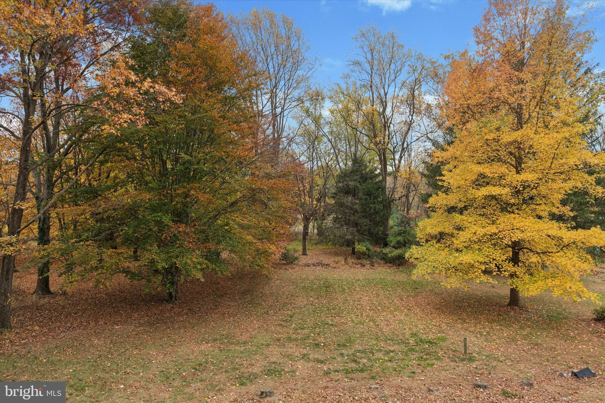 685 Hopewell Road Downingtown, PA 19335 - Photo 33 of 39 a view of a yard with a tree