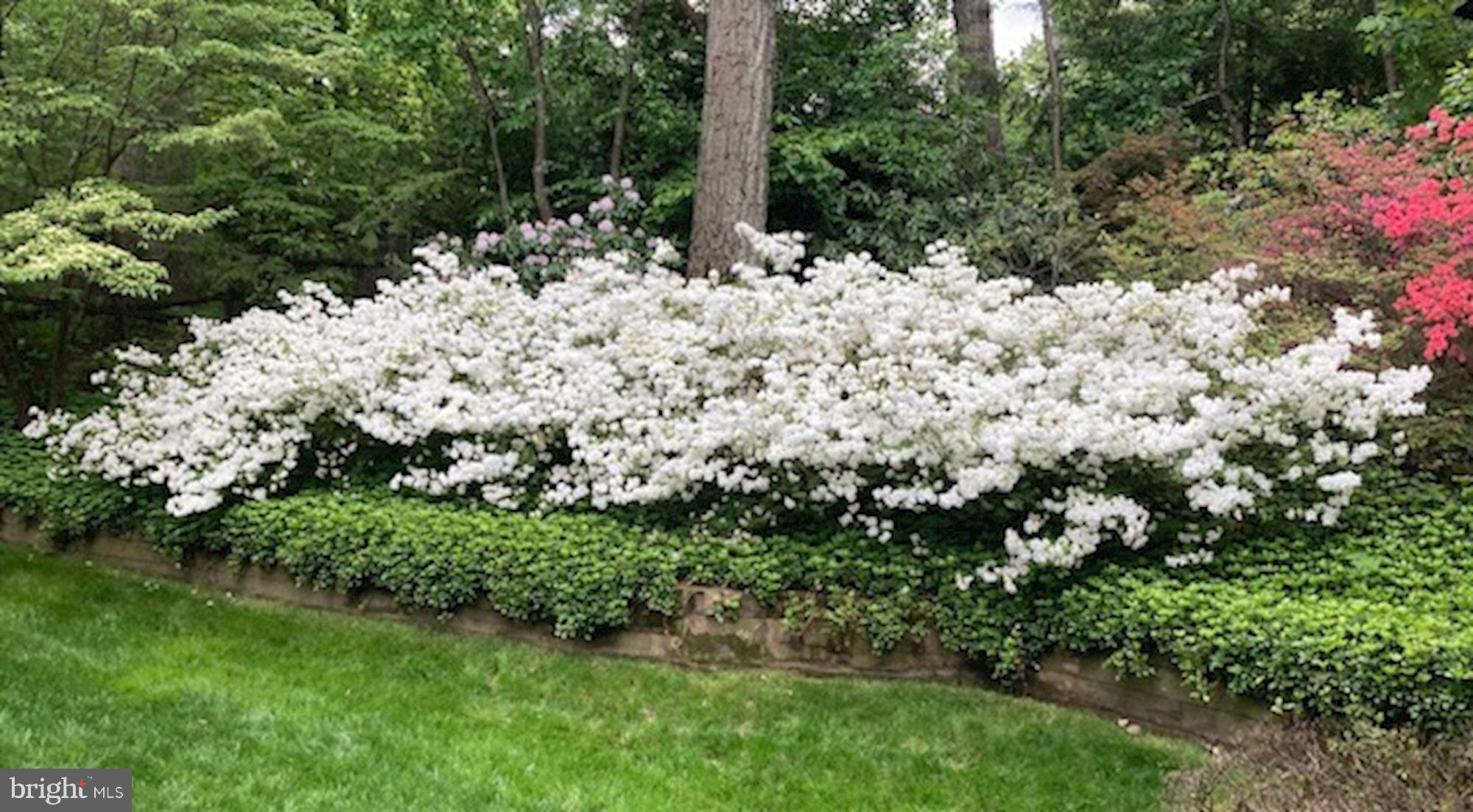 9025 Edgepark Road Vienna, VA 22182 - Photo 26 of 30 Gallery Image 26