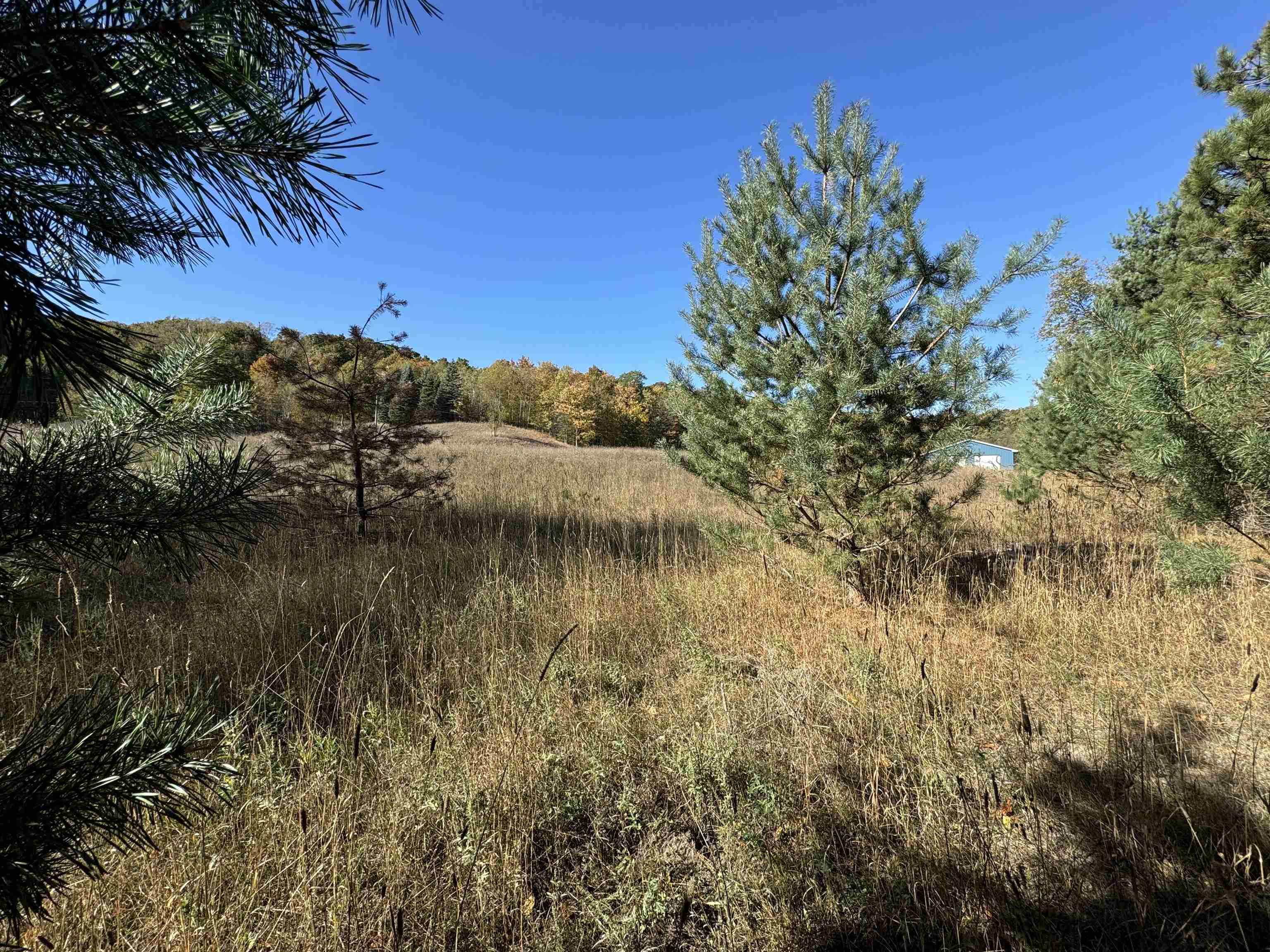 8335 South Tremain Road Maple City, MI 49664 - Photo 12 of 30
