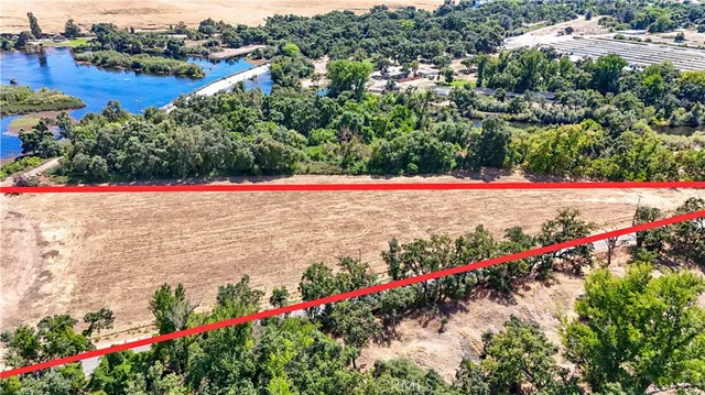 a view of a flower in a garden