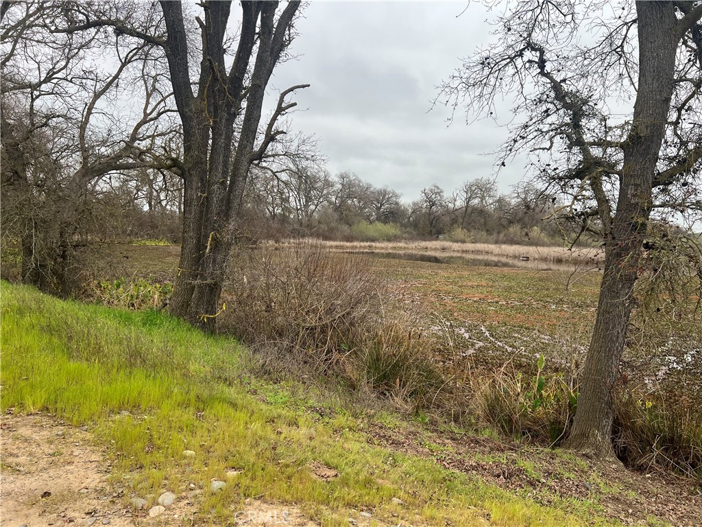 6345 Merced Falls Road Snelling, CA 95369 - Photo 56 of 59 a view of a lake with a yard