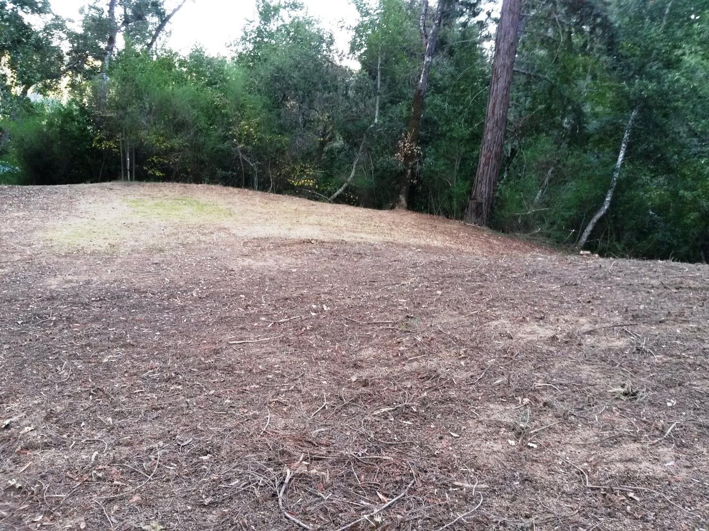 0 Ralston Ridge Boulder Creek, CA 95006 - Photo 1 of 8 a view of empty room with trees
