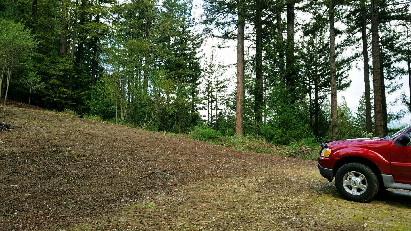 0 Ralston Ridge Boulder Creek, CA 95006 - Photo 2 of 8 a car parked in the middle of a forest