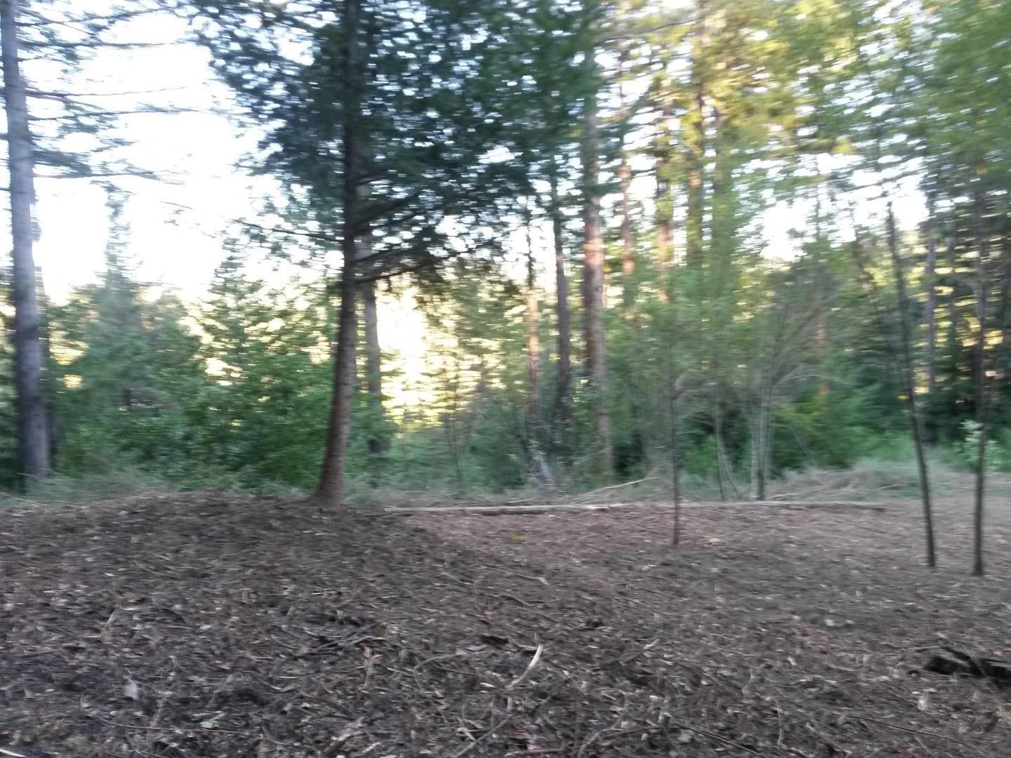 0 Ralston Ridge Boulder Creek, CA 95006 - Photo 3 of 8 a view of a forest with trees in the background