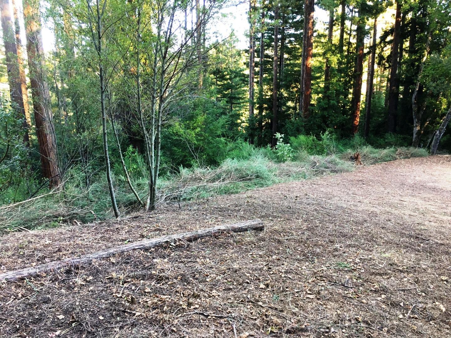 0 Ralston Ridge Boulder Creek, CA 95006 - Photo 4 of 8 a view of a forest with trees in the background
