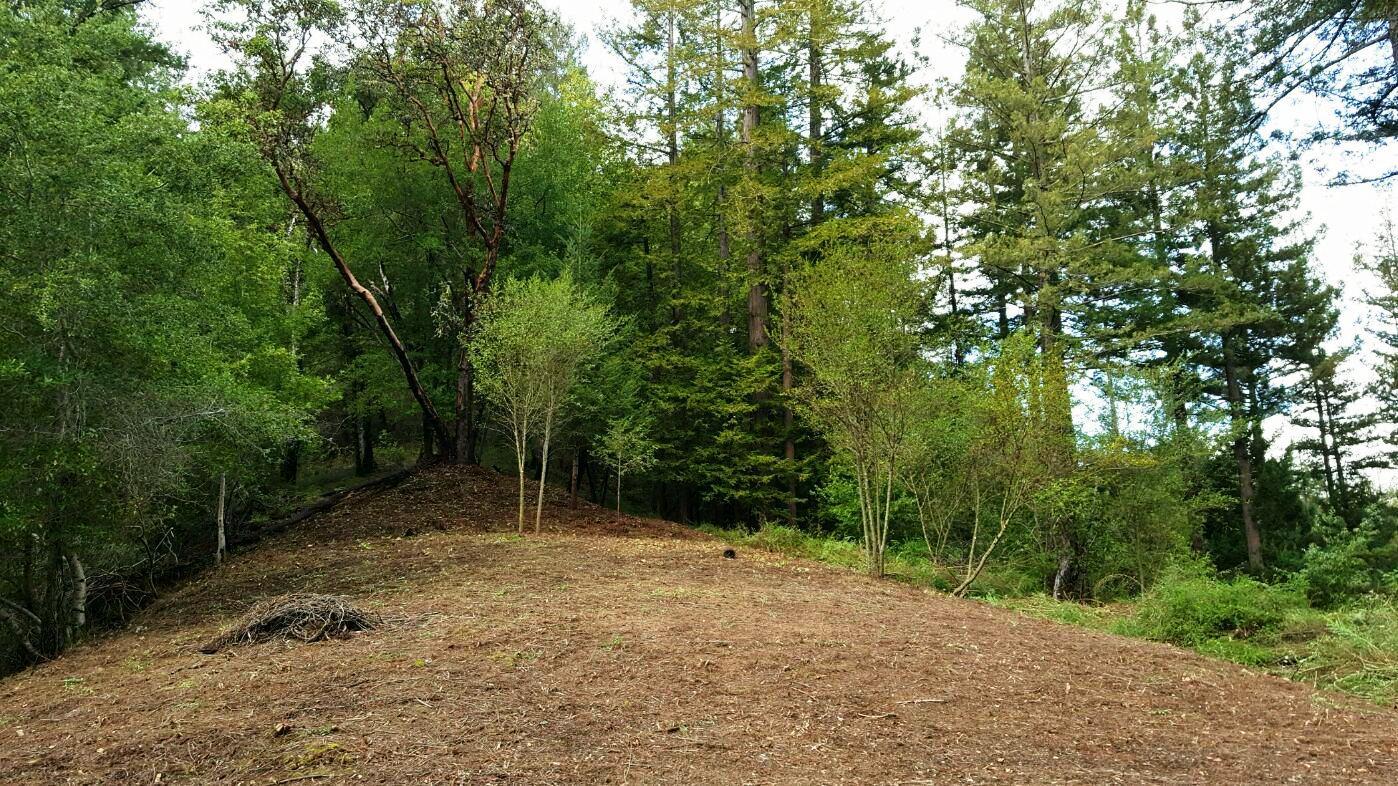 0 Ralston Ridge Boulder Creek, CA 95006 - Photo 6 of 8 a house with trees in front of it