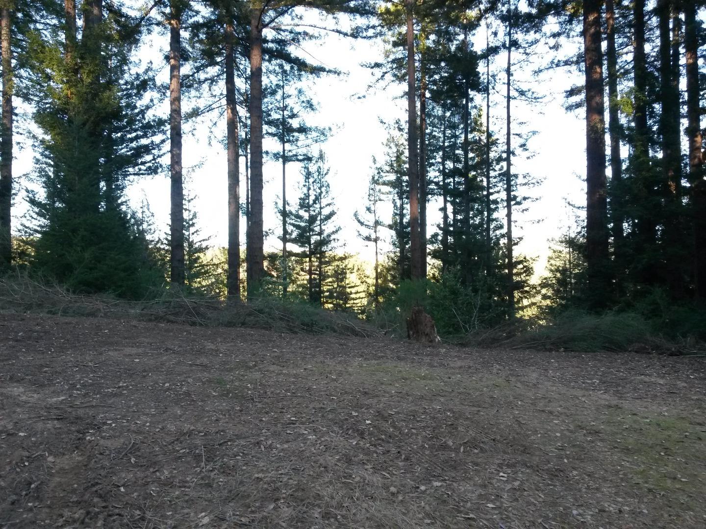 0 Ralston Ridge Boulder Creek, CA 95006 - Photo 7 of 8 a view of a forest with trees in the background
