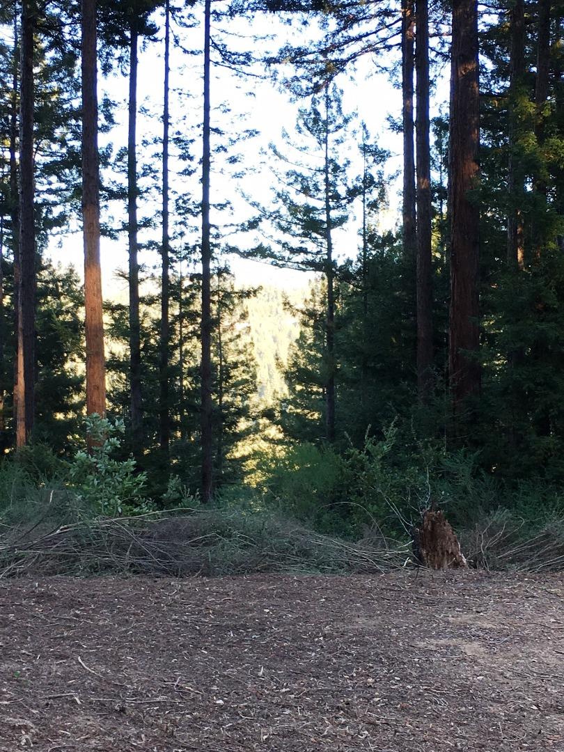 0 Ralston Ridge Boulder Creek, CA 95006 - Photo 8 of 8 a view of outdoor space with trees
