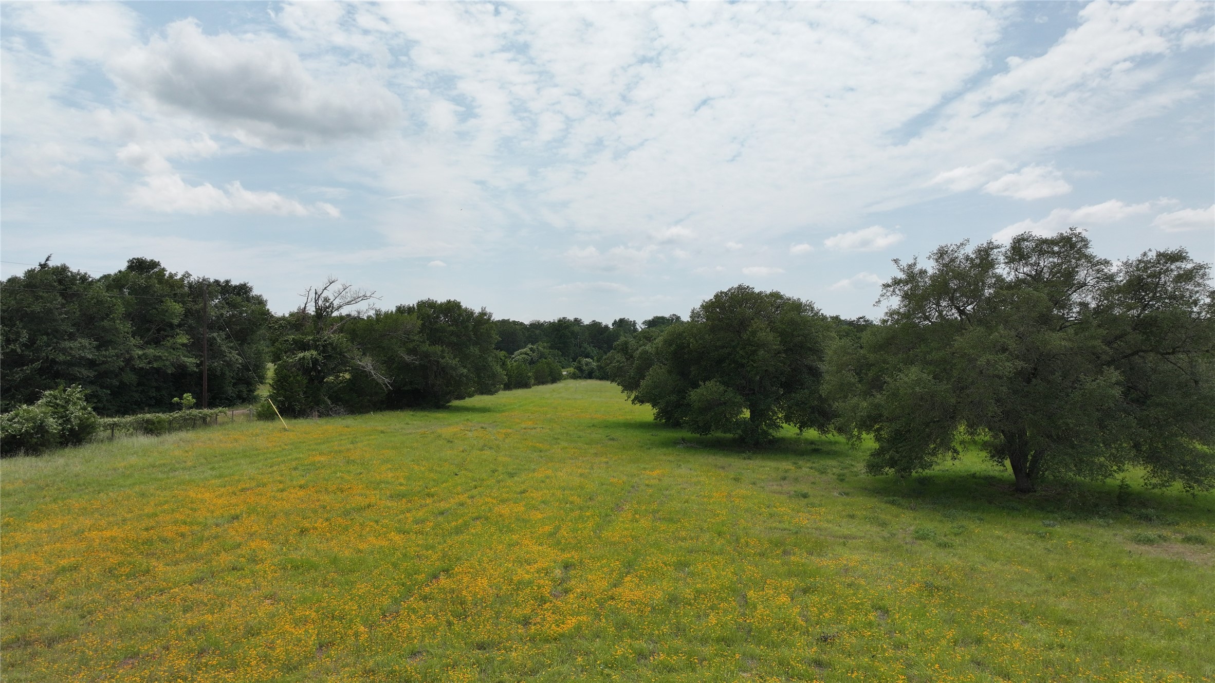 7000 Greenvine Road Burton, TX 77835 - Photo 6 of 13
