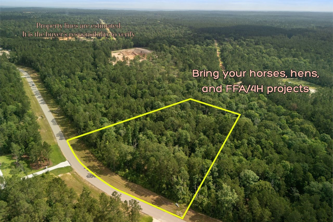 10751 Ruger Road Willis, TX 77378 - Photo 2 of 22 Build your dream home on your timeline with no deadlines imposed by the community.