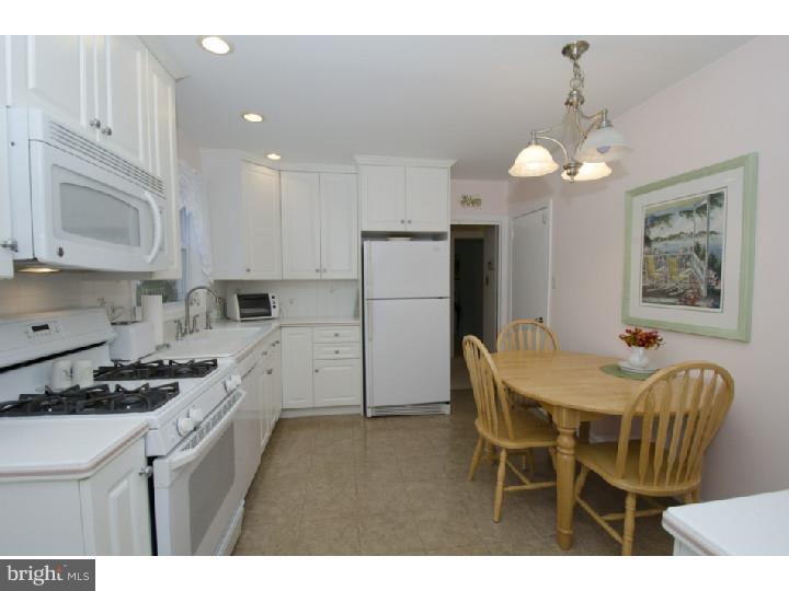 438 Brookwood Road Wayne, PA 19087 - Photo 10 of 24 Kitchen